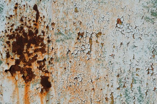 Rusty painted metal surface. High resolution texture