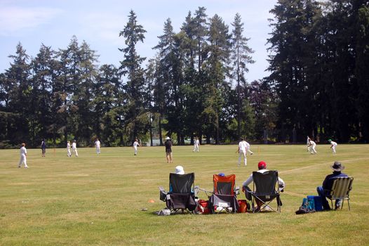 People plays cricket in park, Ashburton Botanical Gardens, New Zealand