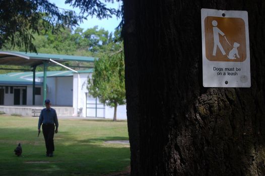 Park sign on tree and man with dog, Ashburton Botanical Gardens, New Zealand