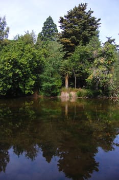 Tree reflection lake, Ashburton botanical gardens, New Zealand