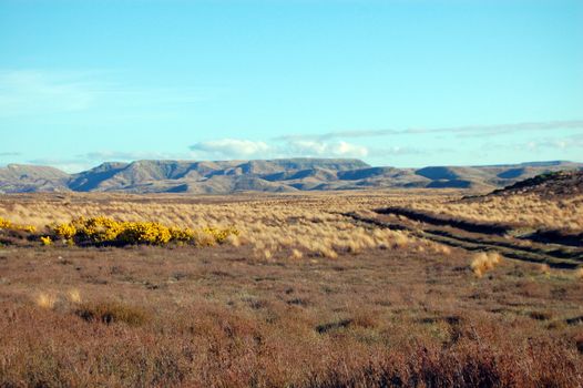 Hills view, North Island, New Zealand