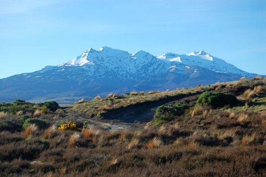 Mountain view, North Island, New Zealand