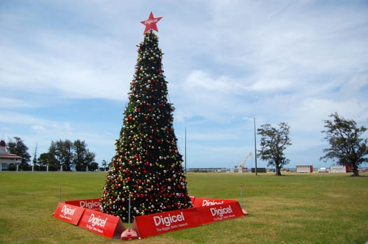 Oceania christmas tree, capital town of Tonga