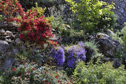 rock garden