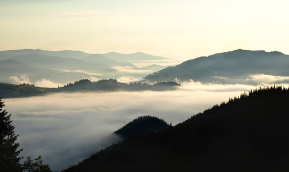 Foggy volley in  mountains. Carpathians