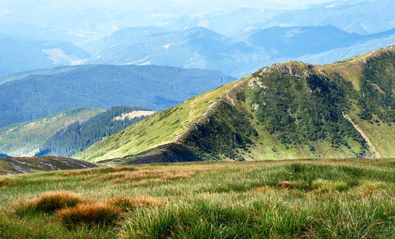 Hiking trail in Carpathian mountains. Ukraine.