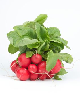 Perfect Fresh Raw Radish with Stems and Leafs isolated on white background