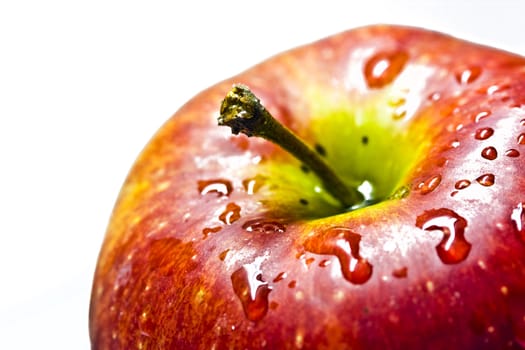 Red apple isolated on white background. Macro.