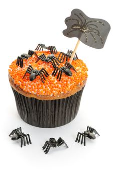 Halloween cupcake with decoration isolated on white