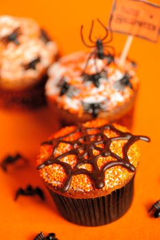 Halloween cupcakes with decoration over orange background
