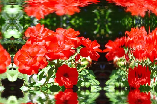 Red flowers in water. Abstract water effect.