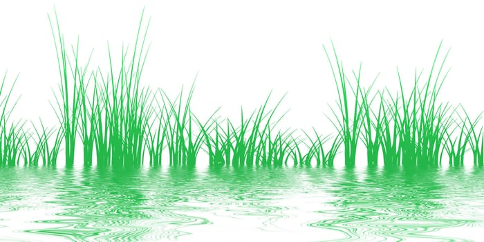 Grass on the water