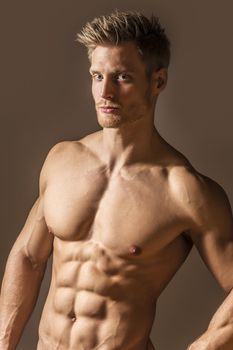 Portrait of a blonde, blue eyed young man with a very athletic figure and well trained abs and pecs