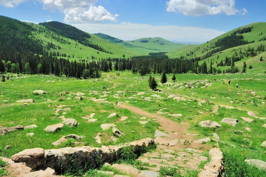 Mongolian landscape on a sunny day with green gras and stone stairs