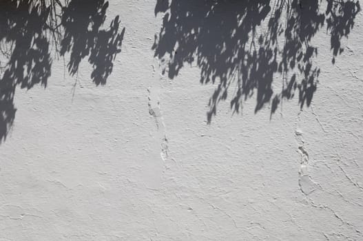 Shadows of a tree branch over a whitewashed wall, Portugal