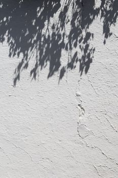 Shadows of a tree branch over a whitewashed wall, Portugal