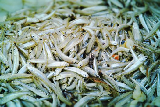 Close-up of a large number of gray and silver anchovies