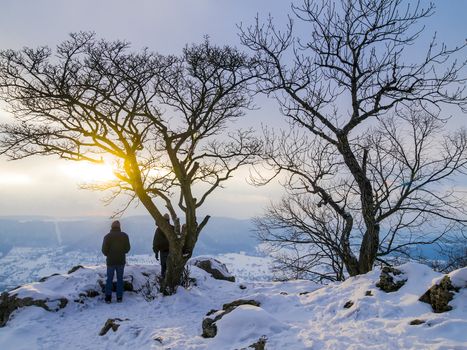 Sunset in the winter with landscape in snow and two trees and persons