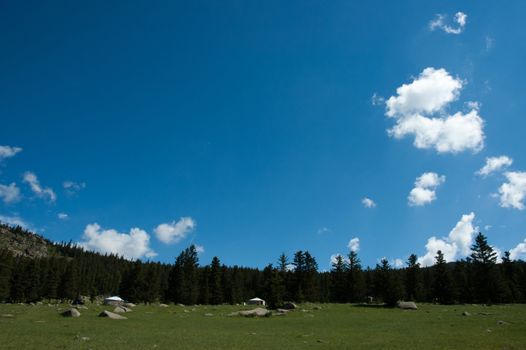 nature paradies mongolia with blue sky, green gras and trees