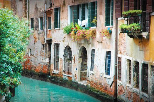 Narrow street in Venice with dilapidated houses front grilles, shutters, flowers and shrubs