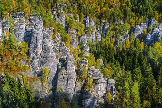 Stones and rocks in Saxon Switzerland Germany on a sunny day in autumn