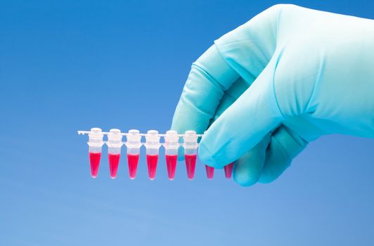 Microtubes with biological samples in criminalistic laboratory for DNA analysis in the hand