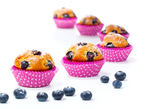 Blueberry muffins with berry on white background