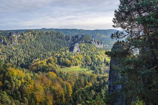 Colored forest, stones, rocks in Saxon Switzerland Germany on a sunny day in autumn