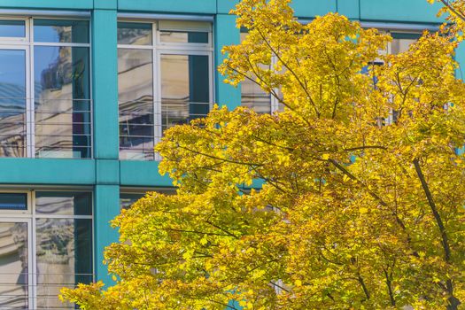 detail of blue house front with yellow tree in autumn dresden saxony switzerland