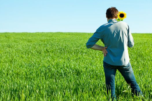 young man standing with a sunflower in the green field 