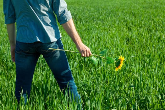 young man standing with a sunflower in the green field 