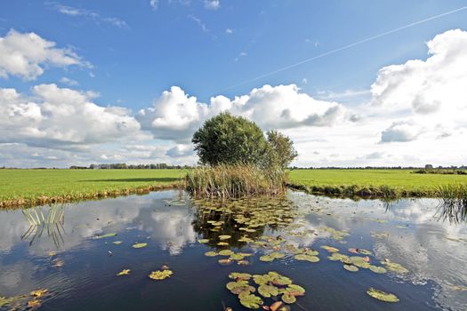 typical wide dutch landscape with meadows, water and cloudscapes in the Netherlands