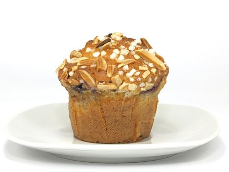 blueberry muffin with almond toppings on plate