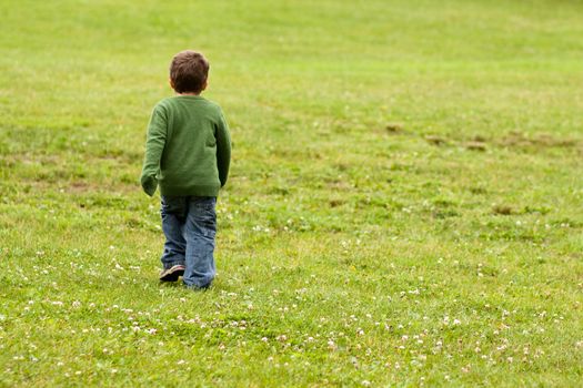 Little boy walking in a green field