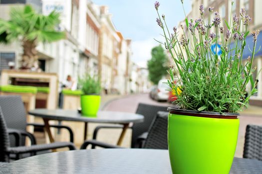 Flowers on the tables of street cafes. Gorinchem. Netherlands 