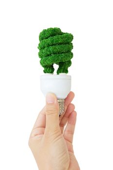 eco bulb