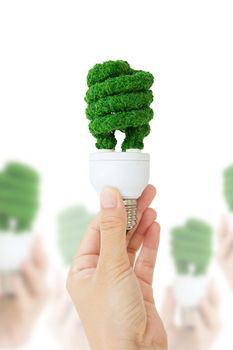 hand holding eco light bulb