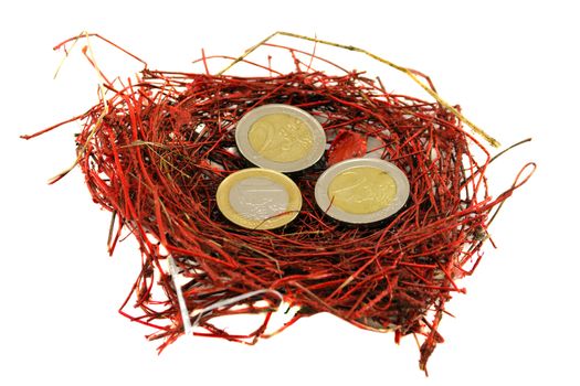 small red bird nest and euro coins money concept isolated on white background