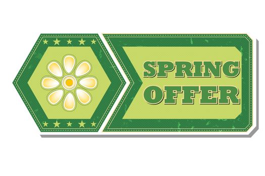 spring offer - retro style green hexagon and flyer label with text, flower and stars, business concept