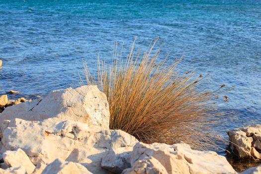 View of Punat sea, Krk island in Dalmatia - Croatia