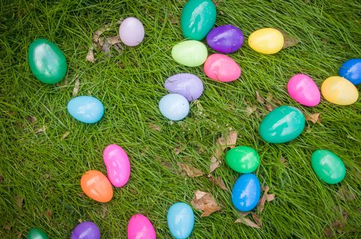 easter eggs in grass