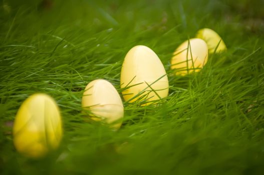 easter eggs in grass