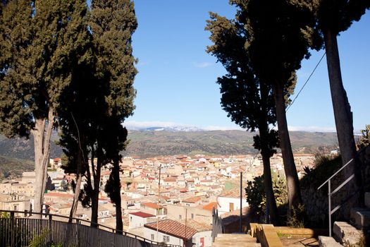 Cypress near St. Croce church in Leonforte
