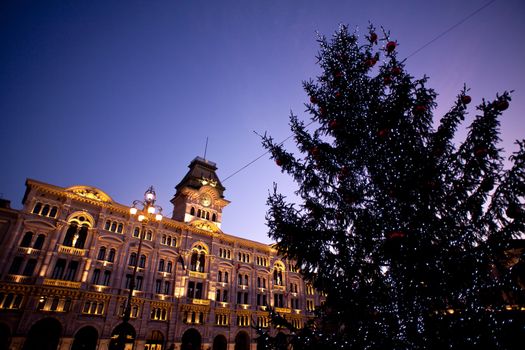 Christmas tree in the Piazza Unità , Trieste