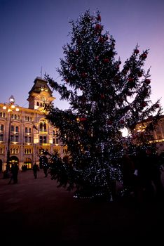 Christmas tree in the Piazza Unità , Trieste