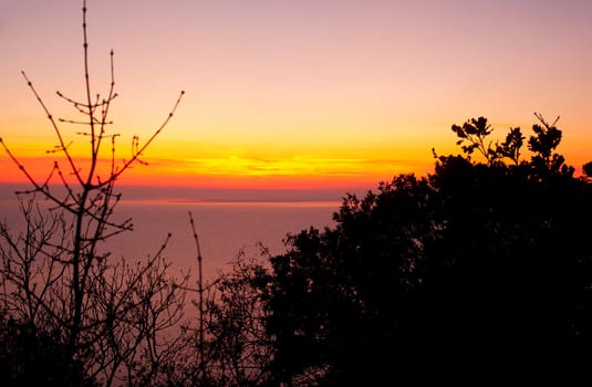 View of Tree and sunset, Trieste sea