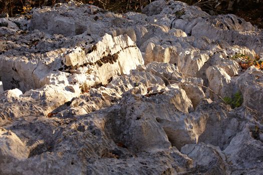 Detail of the Trieste karst'r rocks, Italy