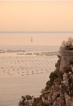 Mussel farming in the sea, Duino - Trieste