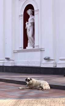Hermes statue, The Palace of the City Council, Odessa