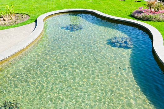 water pool in park